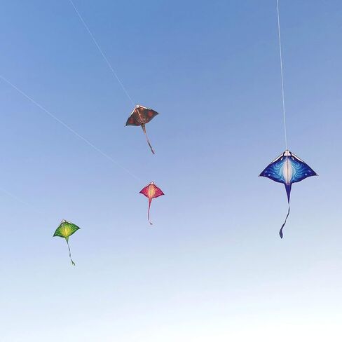 مجموعة من 3 طائرات ورقية من Mint's Colourful Life على شكل سمكة الشيطان للأطفال والكبار، سهلة الطيران على شكل طائرة ورقية دلتا بخط واحد كبير، تتضمن مقبض الطائرة الورقية (أزرق وأخضر ووردي) in Kuwait