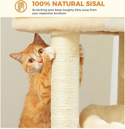 PEQULTI Cat Tree Tower for Indoor Cats with Private Cozy Cat Condo, Natural Sisal Scratching Posts and Plush Pom-pom for Small Cats in Kuwait