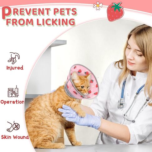 Cat Cone, Adjustable Cat Cone Collar Soft to Stop Licking, Foldable Cute Cat Cone Alternative, Water Resistant Neck Cone for Cats, Lightweight Cat Recovery E Collar for Cat Kitten（Blue, S-2 in Kuwait