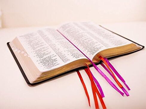 إشارة مرجعية للكتاب المقدس أو أي كتاب، قلم تحديد بشريط متعدد الألوان مكون من 8 صفحات in Saudi Arabia