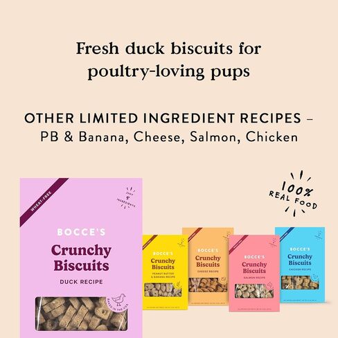 Bocce's Bakery Birthday Cake Bundle for Dogs - Special Edition Wheat-Free Dog Treats, Made with Real Ingredients, Baked in The USA, All-Natural Peanut Butter Vanilla Biscuits, 5 oz (Pack of 3) in Saudi Arabia