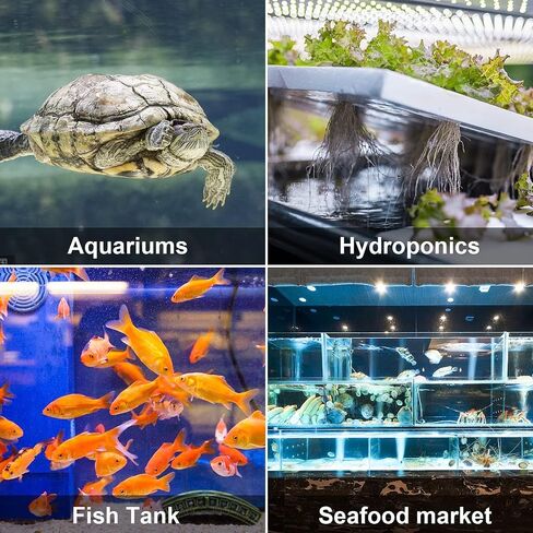 Simple Deluxe 10 Pack 4 X 2 Inch Large Air Stone Cylinder with a Free 3W 6L/min Air Pump for Fish & Plant in Aquarium and Hydroponics Systems in Saudi Arabia