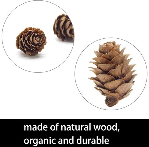 Deloky 150 Pcs Christmas Natural Mini Pine Cones- 2CM Thanksgiving Small Pinecones Ornaments Vase Fillers for DIY Crafts, Home Decorations, Fall and Christmas, Wedding Decor in Saudi Arabia