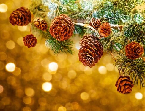 Deloky 150 Pcs Christmas Natural Mini Pine Cones- 2CM Thanksgiving Small Pinecones Ornaments Vase Fillers for DIY Crafts, Home Decorations, Fall and Christmas, Wedding Decor in Saudi Arabia
