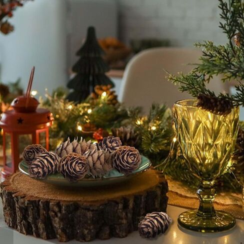 Deloky 150 Pcs Christmas Natural Mini Pine Cones- 2CM Thanksgiving Small Pinecones Ornaments Vase Fillers for DIY Crafts, Home Decorations, Fall and Christmas, Wedding Decor in Saudi Arabia