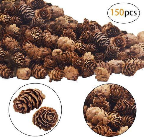 Deloky 150 Pcs Christmas Natural Mini Pine Cones- 2CM Thanksgiving Small Pinecones Ornaments Vase Fillers for DIY Crafts, Home Decorations, Fall and Christmas, Wedding Decor in Saudi Arabia