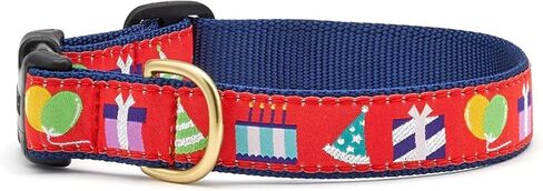 Up Country Birthday Gift Dog Collar (Birthday Gift Collar, Medium (12 to 18 inches) 1 inch Wide Width) in Saudi Arabia