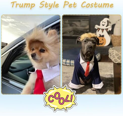 Cat Wig Pet Costume, Dog Head Wear Apparel Toy for Halloween, Christmas, Parties, Festivals in Kuwait