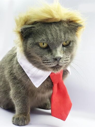 Cat Wig Pet Costume, Dog Head Wear Apparel Toy for Halloween, Christmas, Parties, Festivals in Kuwait