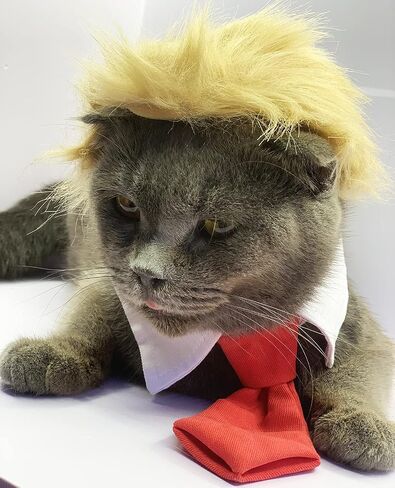Cat Wig Pet Costume, Dog Head Wear Apparel Toy for Halloween, Christmas, Parties, Festivals in Kuwait