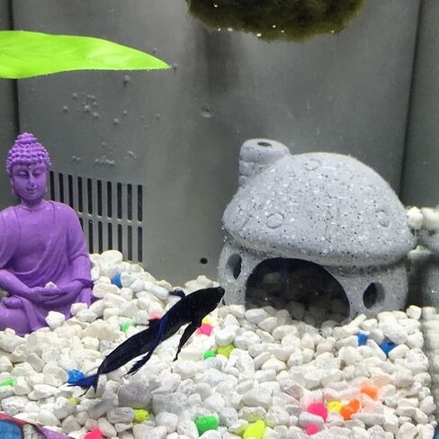 RUIAN Aquarium Mushroom House Decorations with Betta Fish Cave, Ceramic Cichlid Caves for Aquarium, Fish Tank Decoration, Syrian Hamster (White) in Kuwait