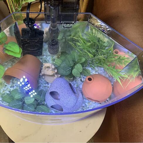 RUIAN Aquarium Mushroom House Decorations with Betta Fish Cave, Ceramic Cichlid Caves for Aquarium, Fish Tank Decoration, Syrian Hamster (White) in Kuwait