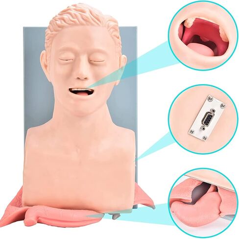 Oral l Intubation Training Operation 110-220V Adult Intubation Manikin Teaching Model Electronic Silicone Airway Management Trainer Tracheal Simulator Model Science Lab Education in Saudi Arabia