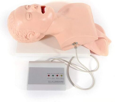 Oral l Intubation Training Operation 110-220V Adult Intubation Manikin Teaching Model Electronic Silicone Airway Management Trainer Tracheal Simulator Model Science Lab Education in Saudi Arabia