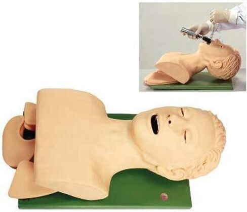 Oral l Intubation Training Operation 110-220V Adult Intubation Manikin Teaching Model Electronic Silicone Airway Management Trainer Tracheal Simulator Model Science Lab Education in Saudi Arabia