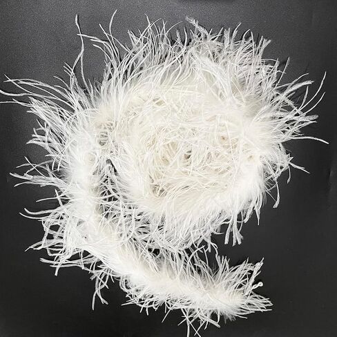 LONDGEN 1ply Ostrich Feather Boa 2Yards for Dance Performance and 1920's Flapper Costume Accessory (Purple) in Kuwait