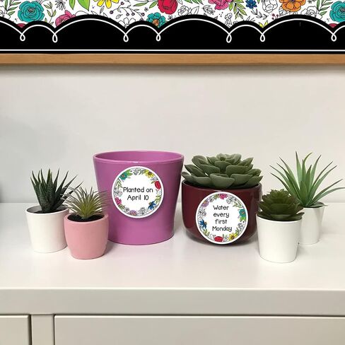 Creative Teaching Press Palm Paradise Monstera Leaves 3" Designer Cut-Outs (10231) in Saudi Arabia