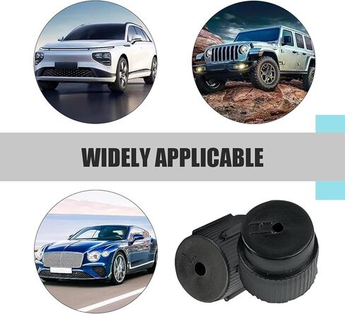 10 PCS AC Valve Cap, High and Low Pressure Air Conditioning System Port Sealing Kit, 0.5 "/13 mm 0.6 "/16 mmCar Air Conditioning Repair Parts, Universal for Most Cars (Black) in Saudi Arabia