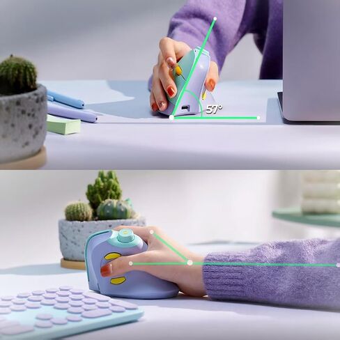 seenda MOU-302 Wireless Bluetooth Ergonomic Vertical Mouse with Volume Knob | Rechargeable 3-device mice for small/medium hands with quiet clicks, 1000/1600/2400 DPI for PC, laptop, MacBook, Green Purple in Saudi Arabia