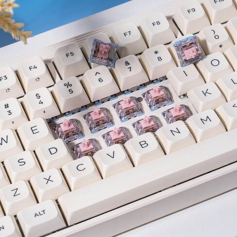 GATERON Melodic Keyboard Switches, Clicky RGB LED 5 Pin Factory Pre-lubed 60gf Key Switches for MX Mechanical Keyboard(35PCS) in Saudi Arabia