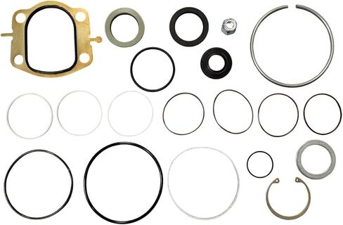 Power Steering Seals - Precision Fit Power Steering Gearbox Seal Kit | O-Ring And Sealing Kit for Dodge Ram 1500 2500 3500 1994-2001 | Complete Steering Parts Seal Replacement in Kuwait