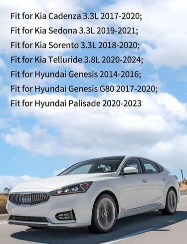 263453LAA0 مرشح زيت المحرك ، حشية الإسكان الملائمة لـ Kia Sedona 2019-2021 ، Cadenza 2017-2020 ، Sorento 2018-2020 ، Fit for Hyundai Genesis 2014-2016 ، G80 2017-2020 ، Palisade 2020-2023 2PCS in Kuwait
