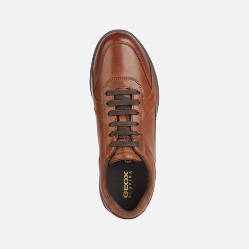 Geox Men's U Spherica Ec12 Trainers in Saudi Arabia