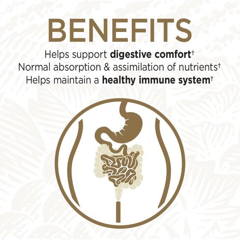 Garden of Life Probiotics for Digestive Health and Gut Health Balance, Primal Defense Ultra Ultimate Formula, 15 Billion CFU and 13 Strains Plus HSOs, Vegetarian and Gluten Free, 216 Capsules in Saudi Arabia