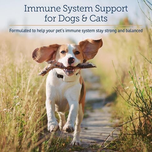Rx Vitamins CurcuWIN Curcumin for Pets - Anti Inflammatory for Dogs - Cat Immune Support - Dog Digestive Support - 90 ct. in Saudi Arabia