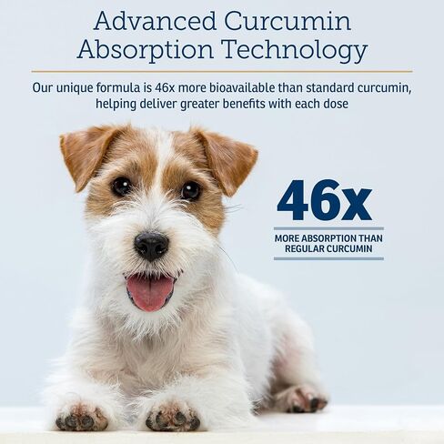 Rx Vitamins CurcuWIN Curcumin for Pets - Anti Inflammatory for Dogs - Cat Immune Support - Dog Digestive Support - 90 ct. in Saudi Arabia