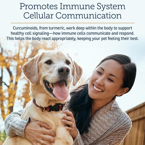 Rx Vitamins CurcuWIN Curcumin for Pets - Anti Inflammatory for Dogs - Cat Immune Support - Dog Digestive Support - 90 ct. in Saudi Arabia