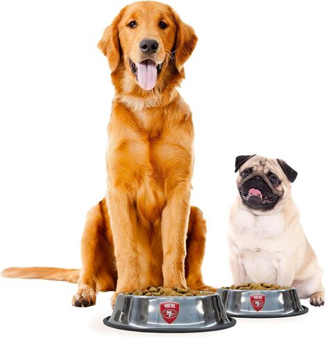 Littlearth NFL Las Vegas Raiders Everyday Pet Bowl, Large in Saudi Arabia