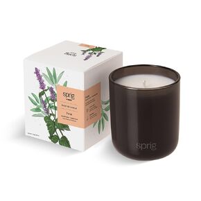 Sprig by Kohler Recharge Aromatherapy Candle with Bergamot and Lemongrass, 100% Natural Soy-Coconut Wax, Uplifting and Invigorating Scent, Gift for Holidays, 8 oz