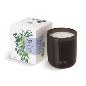 شمعة Sprig by Kohler Recharge للعلاج العطري بالبرغموت وعشب الليمون، شمع جوز الهند والصويا الطبيعي 100%، رائحة منشطة ومنشطة، هدية للعطلات، 8 أونصة