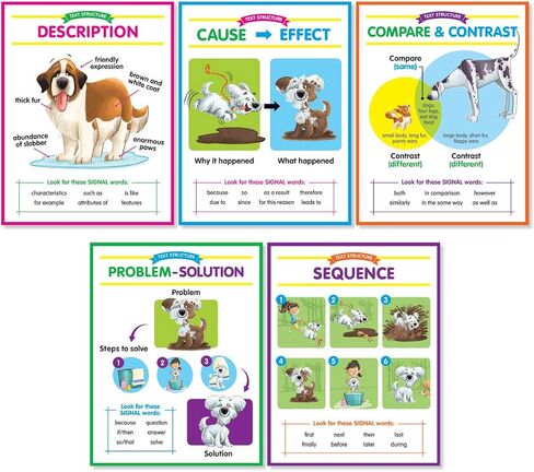 Text Structures Anchor Charts Bulletin Board in Saudi Arabia