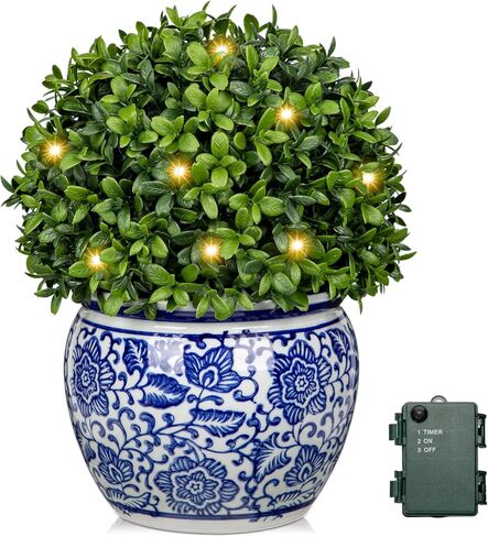 DILATATA Preserved Boxwood Ball in Blue and White Ceramic Pot, Boxwood in Planters Preserved Plant Topiary for Table Centerpiece Indoor Plant Home Decor in Kuwait