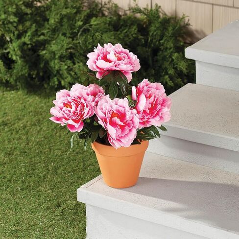Artificial Peony Bush by OakRidgeTM in Saudi Arabia