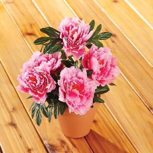 Artificial Peony Bush by OakRidgeTM in Saudi Arabia