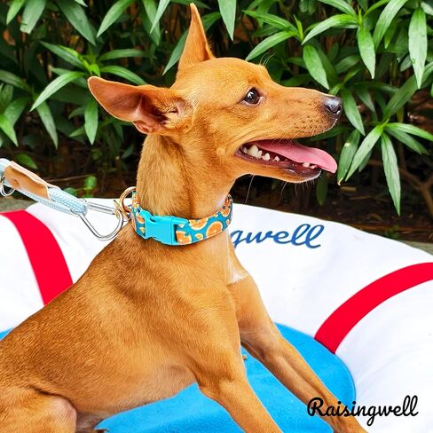 Cute Dog Collar Beige Flower Pattern for Boys and Girls Holiday Dog Collars Summer Fall Gift Adjustable for Small to Medium Breed Dogs (XS) in Kuwait