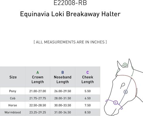 Equinavia Loki Adustable Breakaway Horse Halter in Kuwait