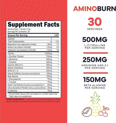 Type Zero Amino Burn Vegan BCAAs + Pre-Workout (Pina Colada Flavored) in Saudi Arabia