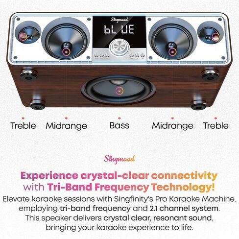 SINGMOOD Bluetooth Karaoke Machine for Adults and Kids, Portable Karaoke Machine with 2 Wireless Microphones, Karaoke Machine for TV, Singing Machine Karaoke Set in Saudi Arabia