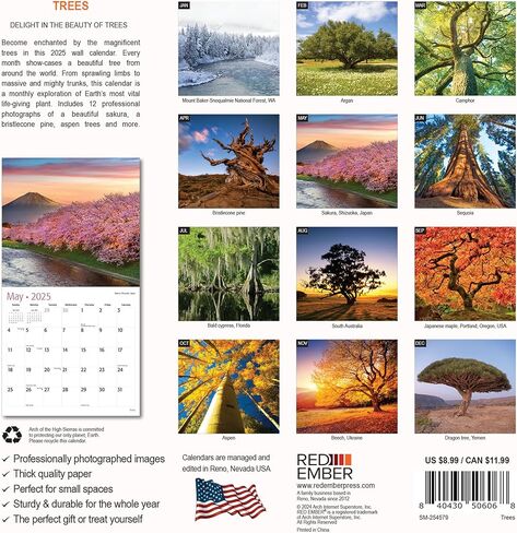 تقويم حائط شجر أحمر قابل للتعليق شهريًا لعام 2025 | 30.48 سم × 60.96 سم عند الفتح | ورق سميك وقوي | هدية | طبيعة الممرات الجميلة in Kuwait