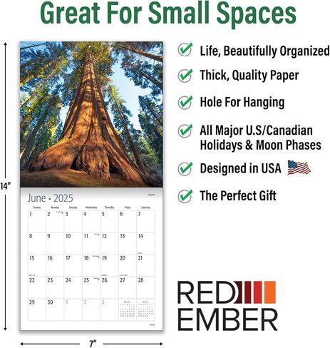 تقويم حائط شجر أحمر قابل للتعليق شهريًا لعام 2025 | 30.48 سم × 60.96 سم عند الفتح | ورق سميك وقوي | هدية | طبيعة الممرات الجميلة in Kuwait