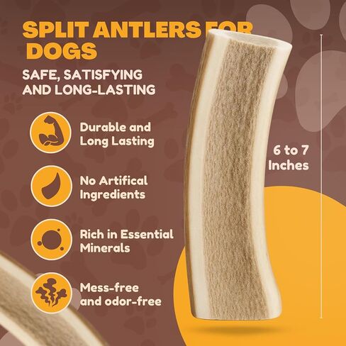 WhiteTail Naturals - قرون الأيائل الممتازة للكلاب - (عبوة بوزن 1 رطل) - مضغ عضوي للكلاب - عظام كلب قرن الوعل المتساقطة بشكل طبيعي - تدوم طويلاً، صُنعت في الولايات المتحدة الأمريكية in Kuwait