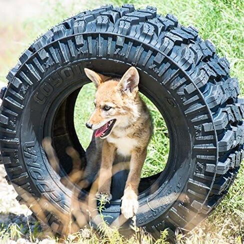 Sedona Coyote 25-10.00-12 Front/Real 6 Ply ATV Tyre-CO251012 (570-4201) in Saudi Arabia