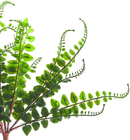 Artificial Button Ferns Plant 10" (Set of 4) in Saudi Arabia