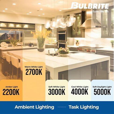Bulbrite 60A19HM Half Chrome 60W A Shape Bulb (4 Pack) in Saudi Arabia