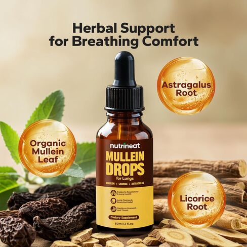 قطرات Mullein للرئتين (2 أوقية) ، مستخلص أوراق Mullein لدعم الرئتين والعافية ، ملحق الأعشاب للتنفس الواضح ، ينخفض Mullein مع غير المعدلة وراثيًا ، 1-2 قطار يوميًا ، واحد توريد واحد in Saudi Arabia