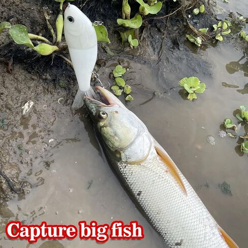HADORAM Lure Slow Sinking Glide Bait with Fur Tail Lifelike Fishing Tackle for Trout Shad Bass Musky in Saudi Arabia